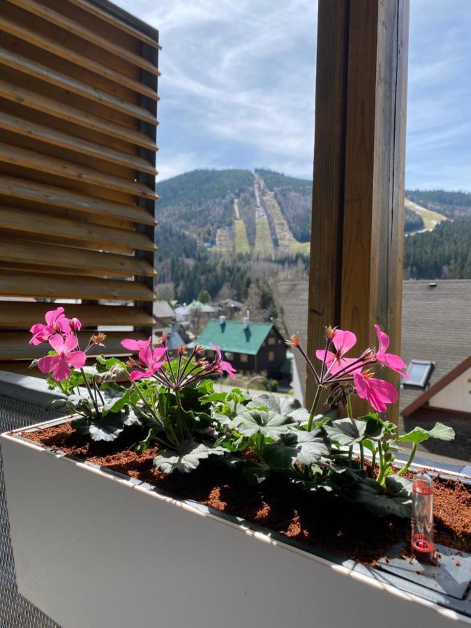 Luxusni U Sjezdovek S Garazi * Harrachov