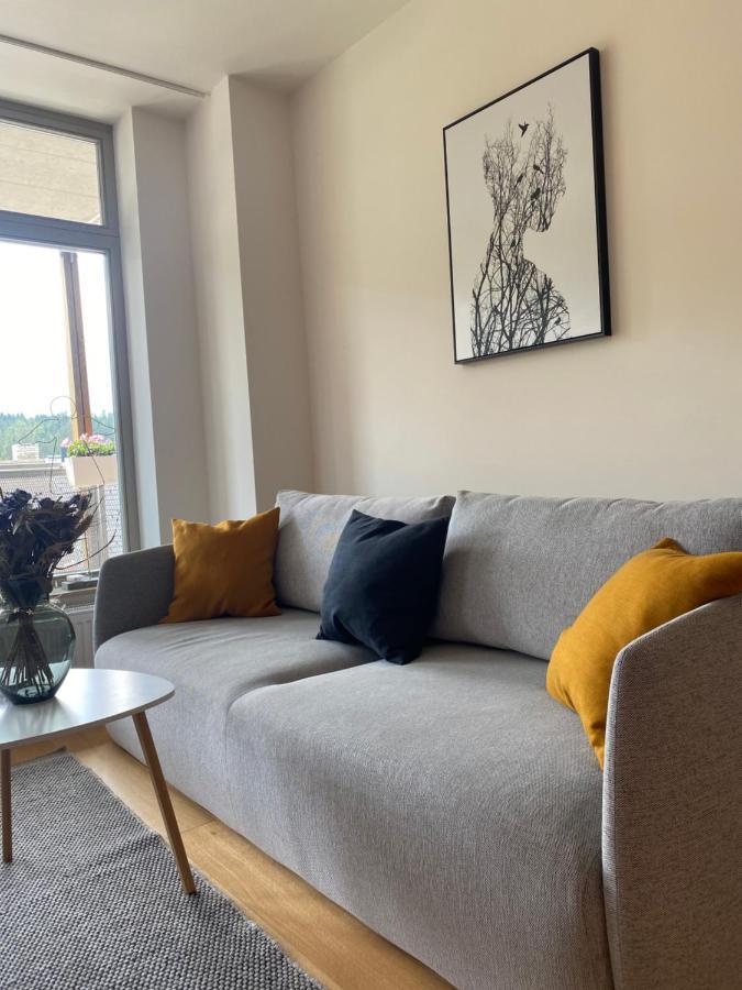 Apartment Luxusni U Sjezdovek S Garazi Harrachov