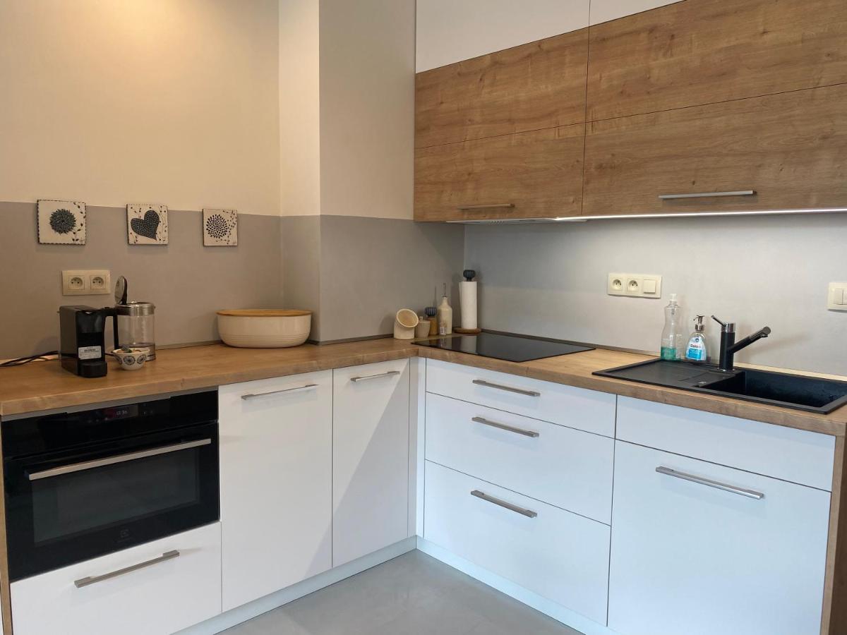 Apartment Luxusni U Sjezdovek S Garazi *