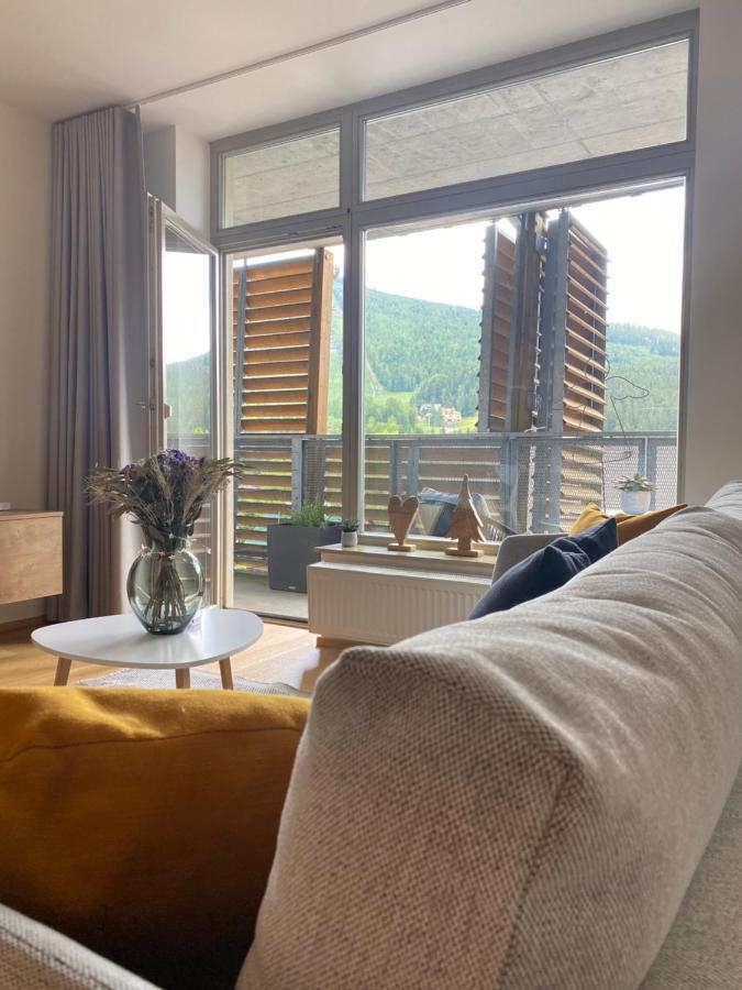 Luxusni U Sjezdovek S Garazi * Harrachov